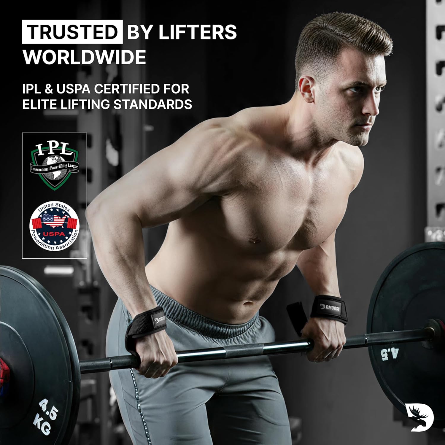 DMoose Fitness Lifting Straps 24" (Pair)